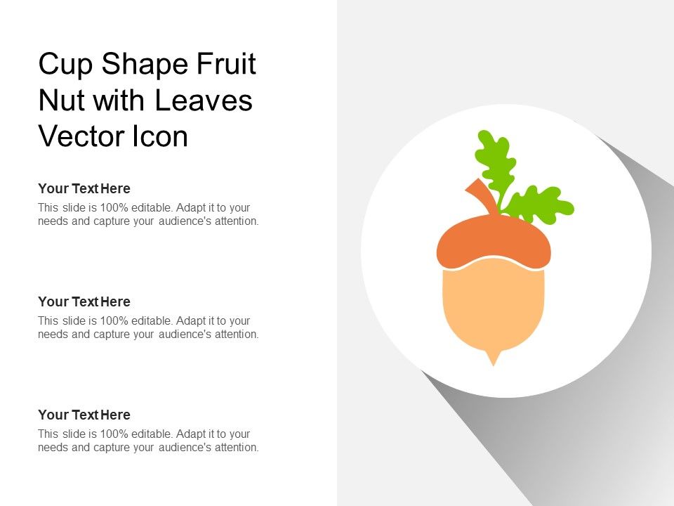 Cup_Shape_Fruit_Nut_With_Leaves_Vector_Icon_Ppt_PowerPoint_Presentation_Icon_Template_PDF_Slide_1.jpg