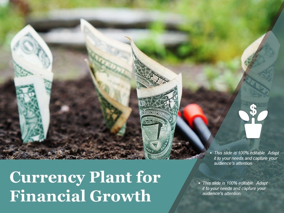 Currency_Plant_For_Financial_Growth_Ppt_PowerPoint_Presentation_Icon_Aids_Slide_1.jpg
