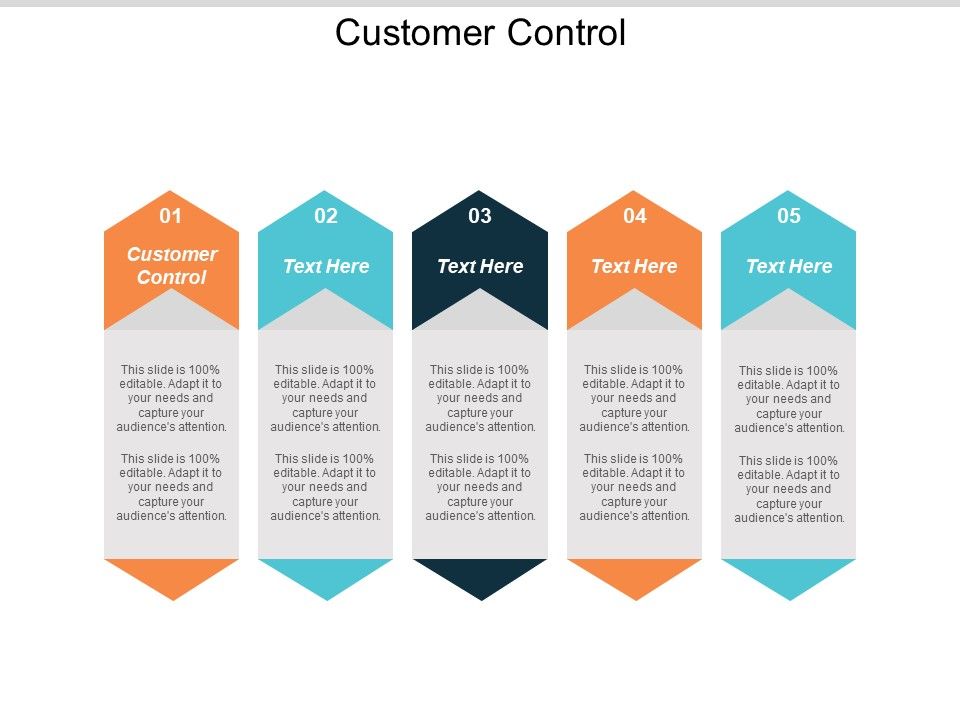 Customer_Control_Ppt_PowerPoint_Presentation_Portfolio_Slides_Cpb_Slide_1.jpg