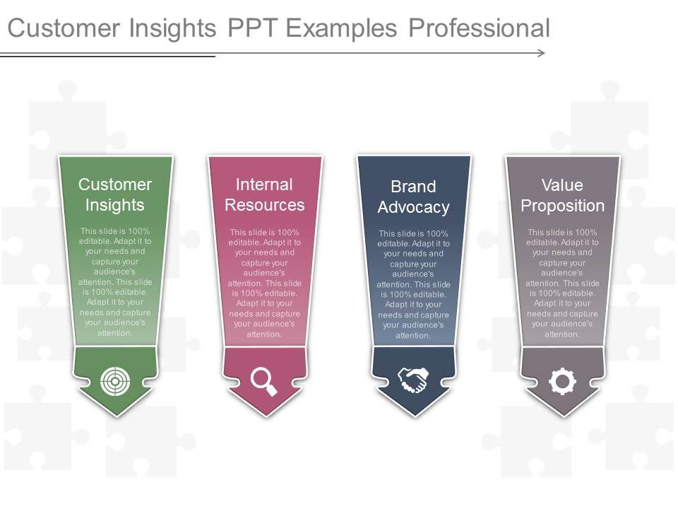 Customer Insights Ppt Examples Professional Customer Insights Ppt Examples Professional