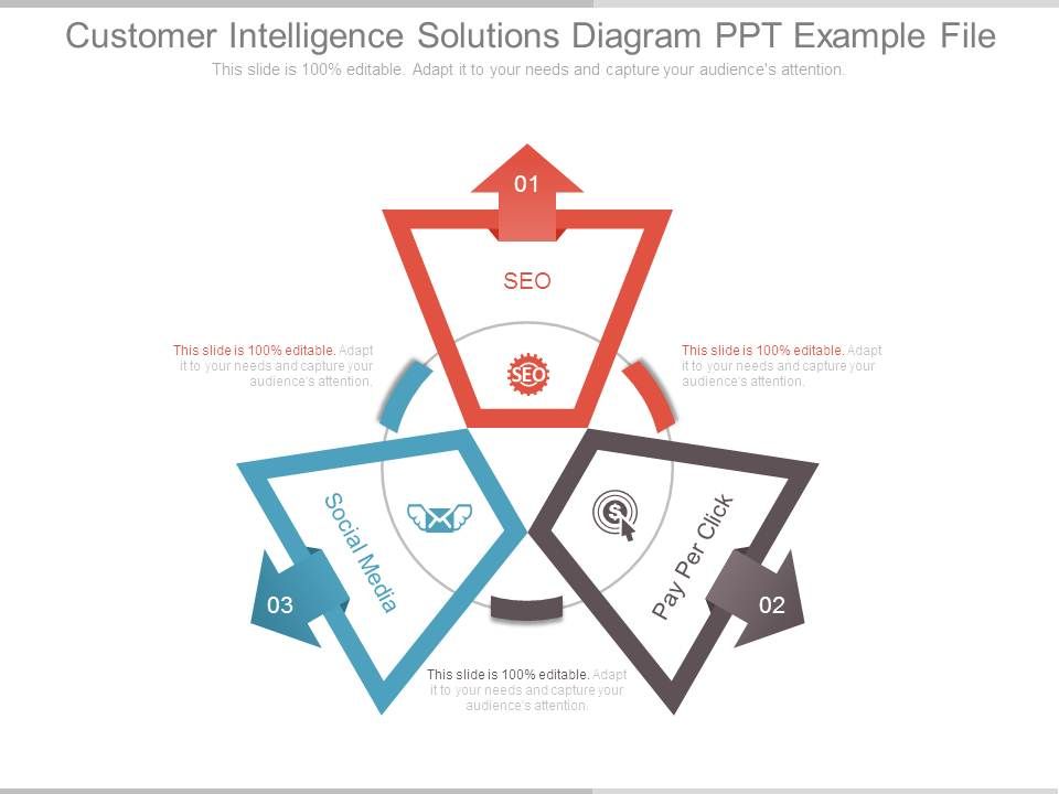 Customer_Intelligence_Solutions_Diagram_Ppt_Example_File_1.jpg