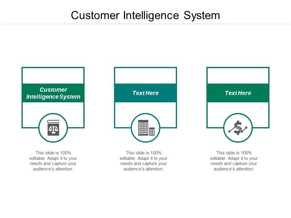 Customer Intelligence System Ppt Powerpoint Presentation Portfolio Customer Intelligence System Ppt Powerpoint Presentation Portfolio