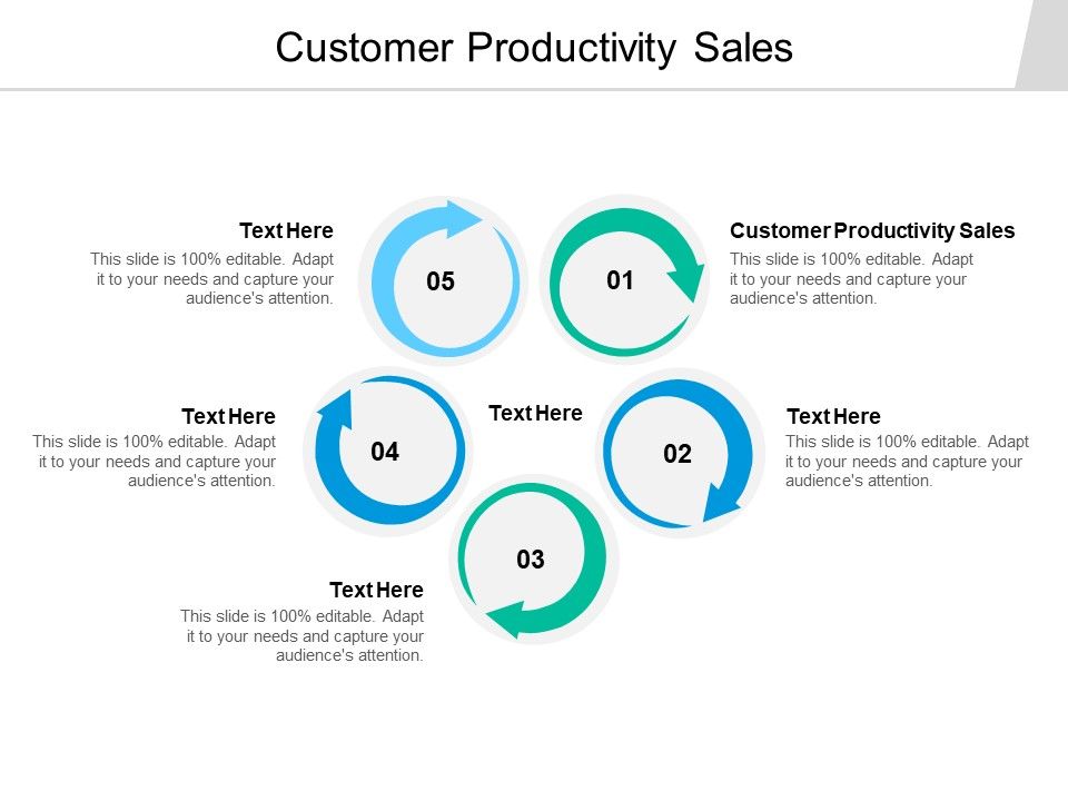 Customer_Productivity_Sales_Ppt_PowerPoint_Presentation_Infographic_Template_Example_File_Cpb_Slide_1.jpg