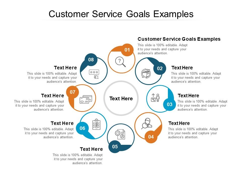 Customer Service Goals Examples Ppt PowerPoint Presentation Show Shapes Cpb