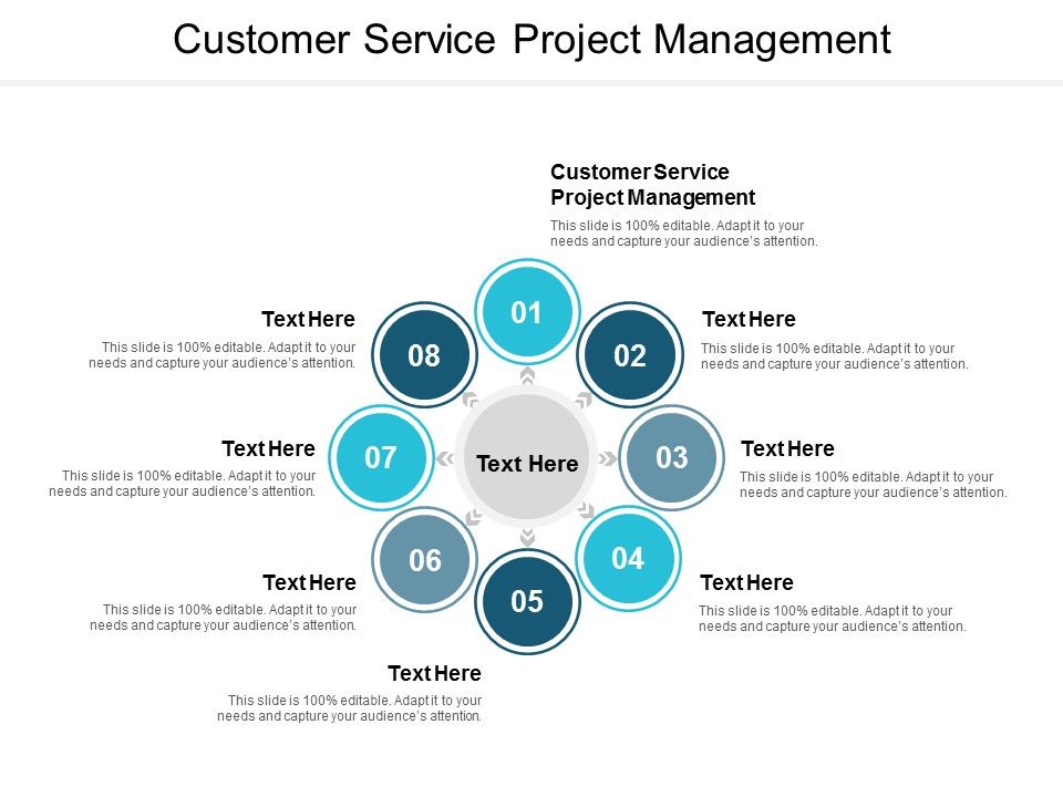Customer Service Project Management Ppt PowerPoint Presentation Show ...