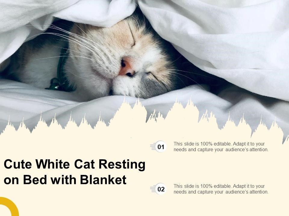 Cute_White_Cat_Resting_On_Bed_With_Blanket_Ppt_PowerPoint_Presentation_Icon_Infographic_Template_PDF_Slide_1.jpg