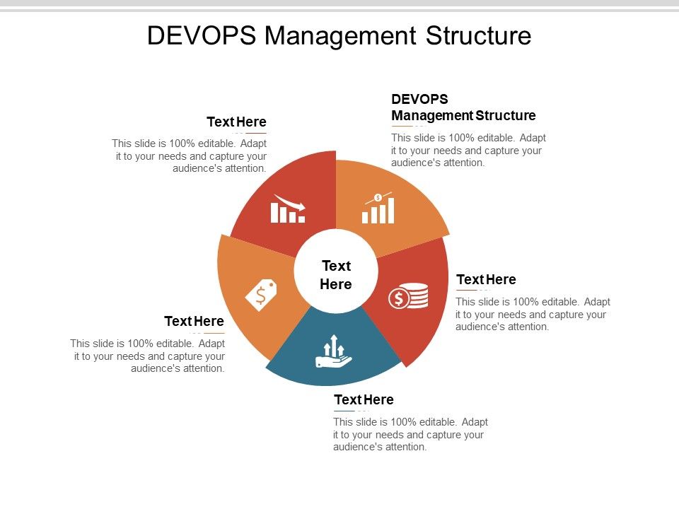 DEVOPS Management Structure Ppt PowerPoint Presentation Gallery Skills Cpb