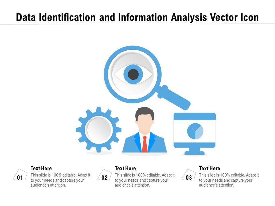 Data_Identification_And_Information_Analysis_Vector_Icon_Ppt_PowerPoint_Presentation_Gallery_Example_PDF_Slide_1.jpg