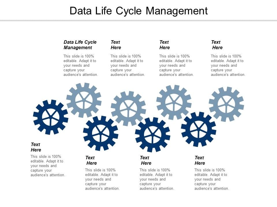 Data Life Cycle Management Ppt PowerPoint Presentation Infographic ...