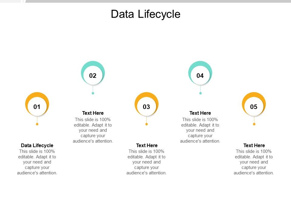 Data_Lifecycle_Ppt_PowerPoint_Presentation_Icon_Example_Topics_Cpb_Pdf_Slide_1.jpg