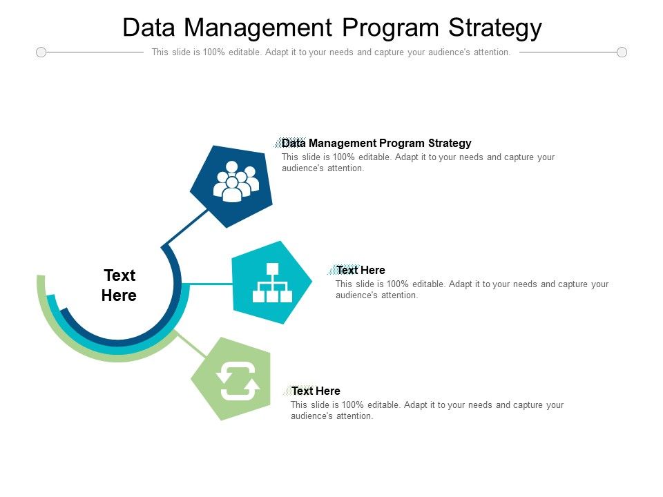 Data Management Program Strategy Ppt PowerPoint Presentation ...