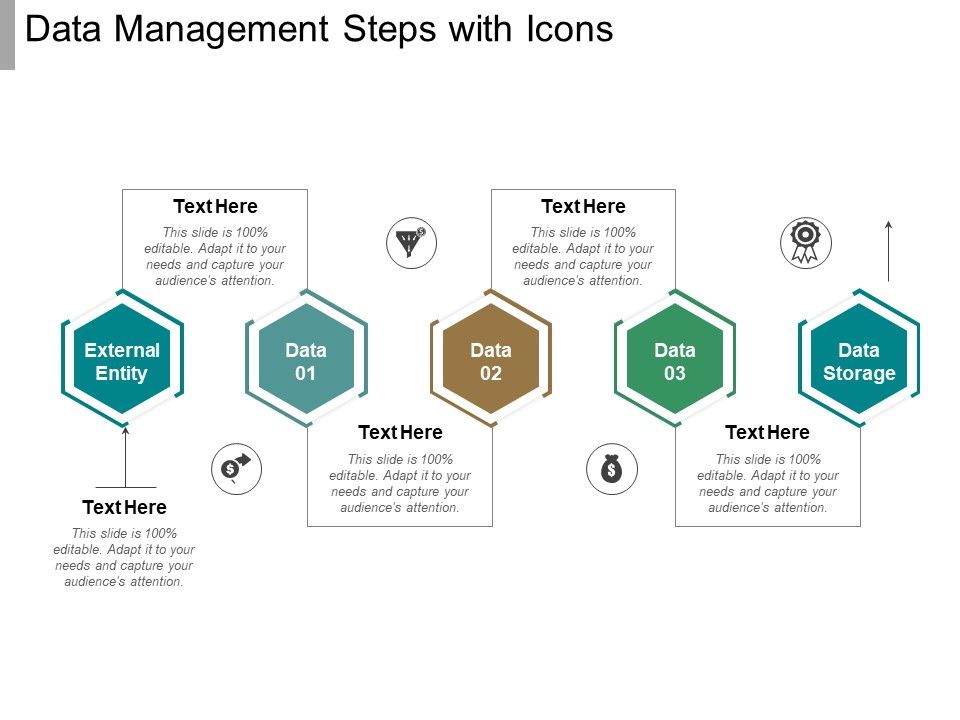 Data_Management_Steps_With_Icons_Ppt_PowerPoint_Presentation_Infographic_Template_Deck_Slide_1.jpg