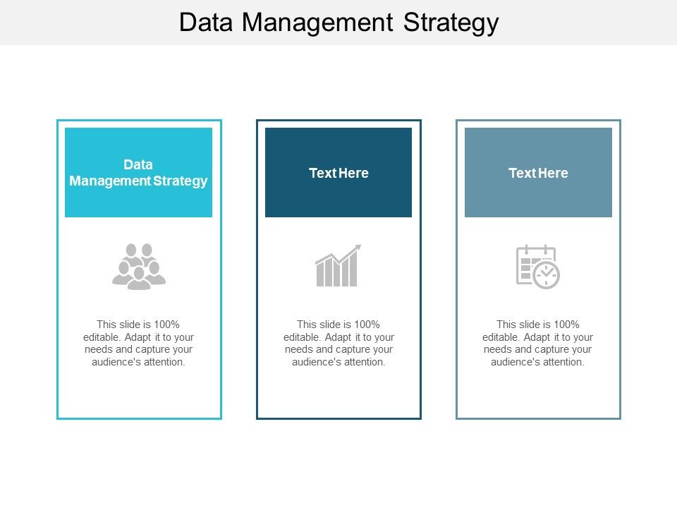 Data Management Strategy Ppt PowerPoint Presentation Ideas Graphics ...