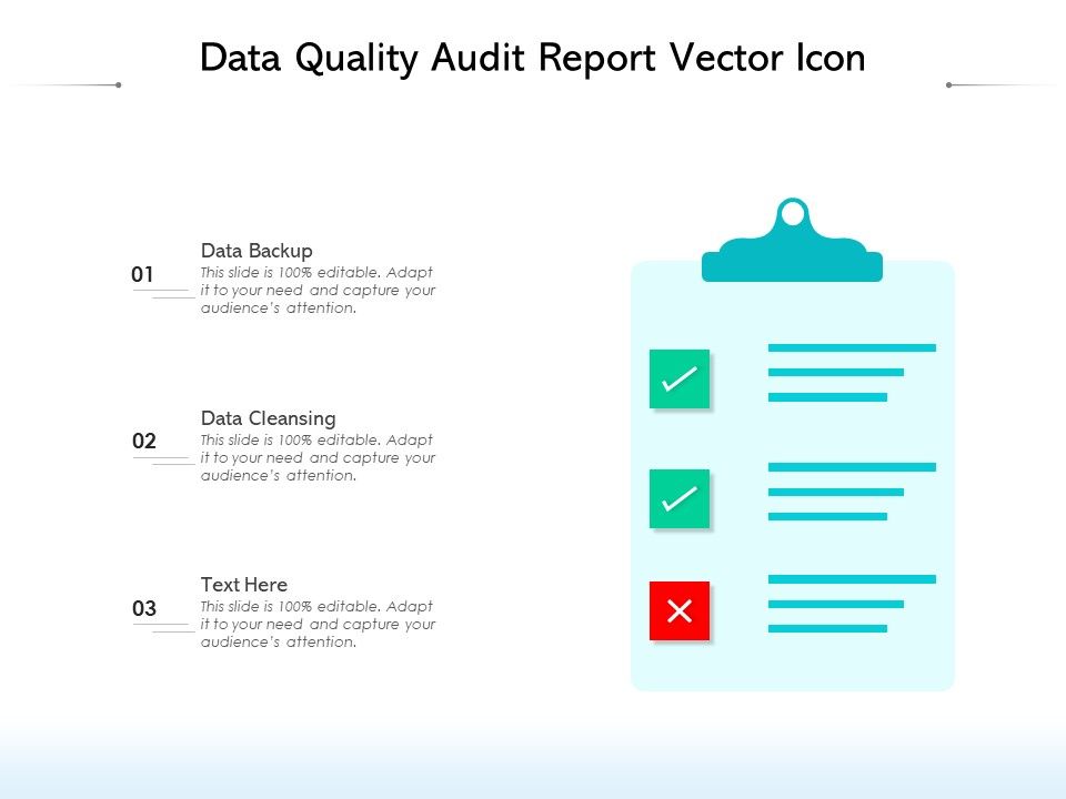 Data_Quality_Audit_Report_Vector_Icon_Ppt_PowerPoint_Presentation_Layouts_Example_Topics_PDF_Slide_1.jpg
