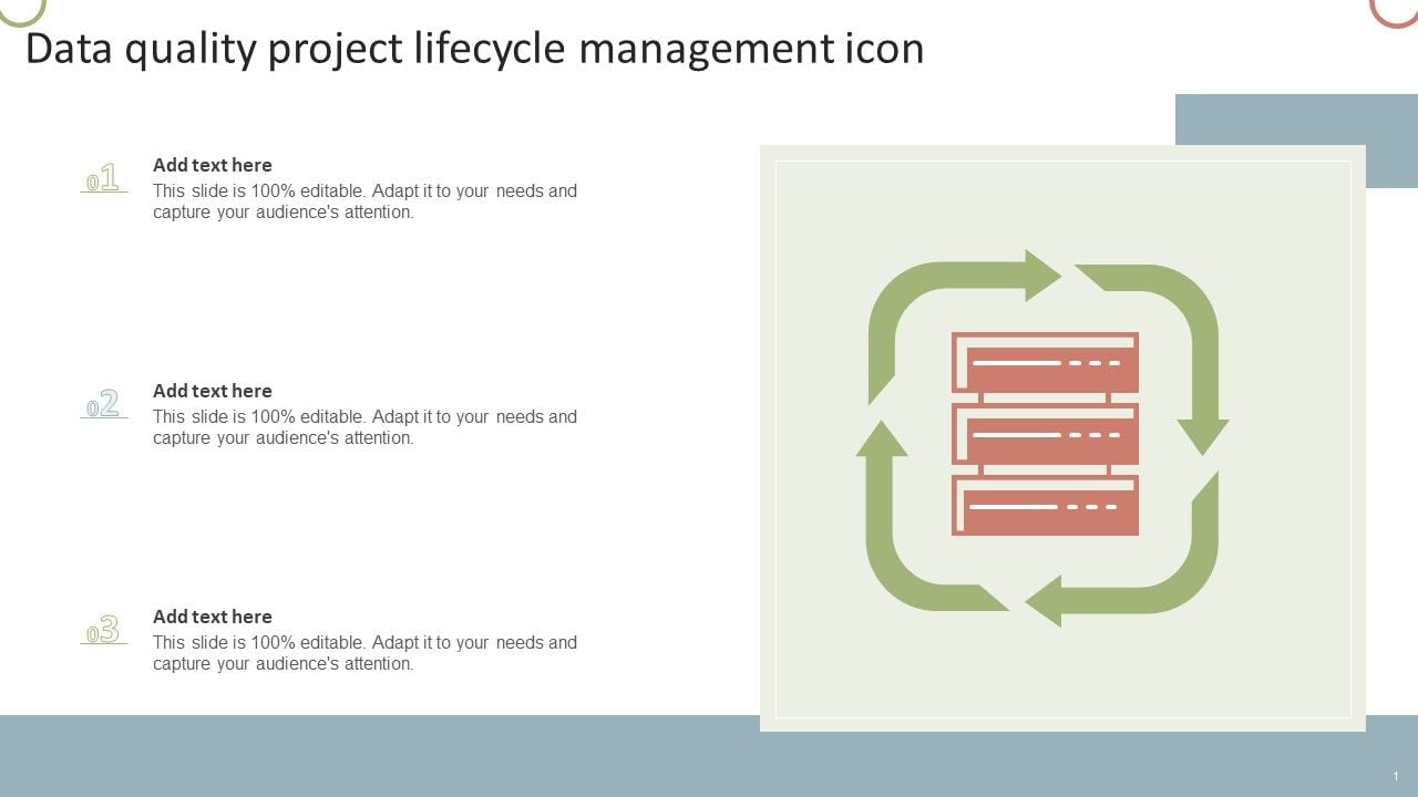 Data_Quality_Project_Lifecycle_Management_Icon_Information_PDF_Slide_1.jpg