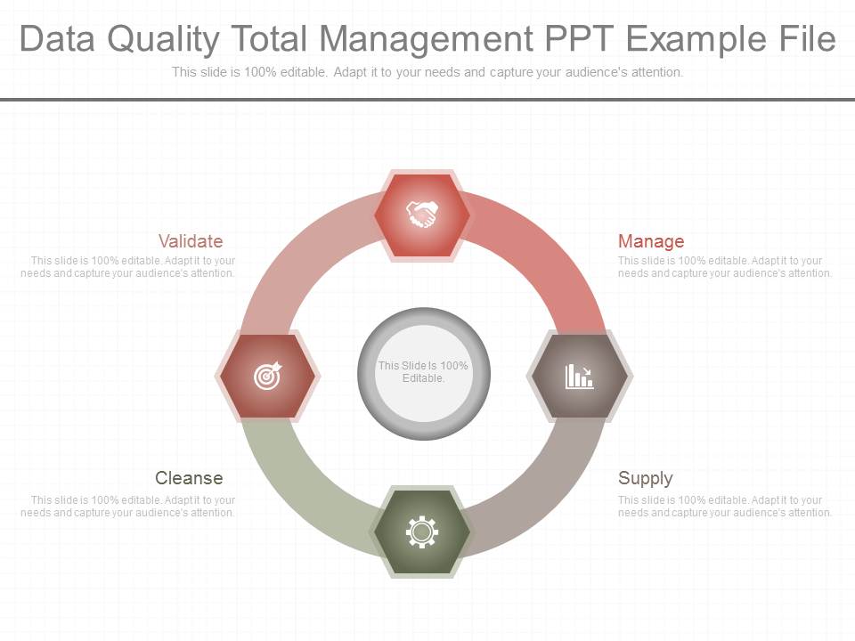 Data_Quality_Total_Management_Ppt_Example_File_1.jpg