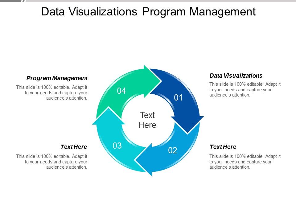 Data Visualizations Program Management Ppt PowerPoint Presentation ...