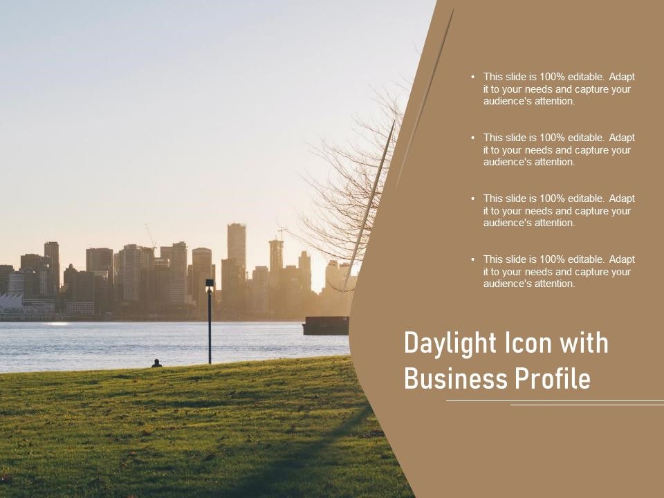Daylight_Icon_With_Business_Profile_Ppt_PowerPoint_Presentation_File_Gallery_PDF_Slide_1.jpg