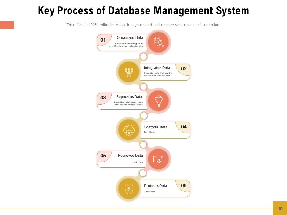 Dbms Management Information Ppt PowerPoint Presentation Complete Deck