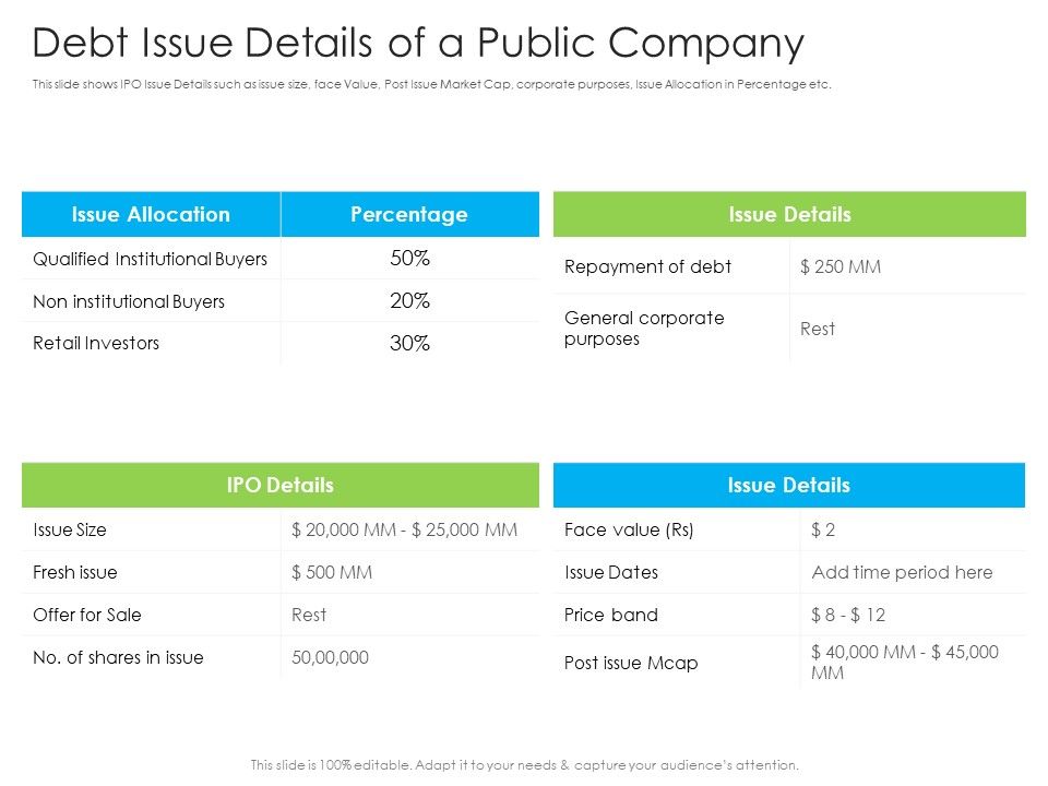 Debt_Issue_Details_Of_A_Public_Company_Ppt_Icon_Slides_PDF_Slide_1.jpg