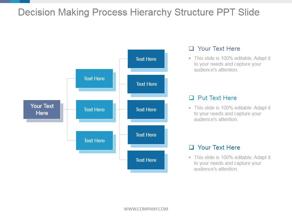 Decision Making Process Hierarchy Structure Ppt PowerPoint Presentation ...
