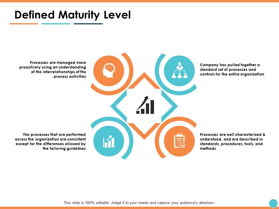 Defined Maturity Level Ppt PowerPoint Presentation Visual Aids Styles