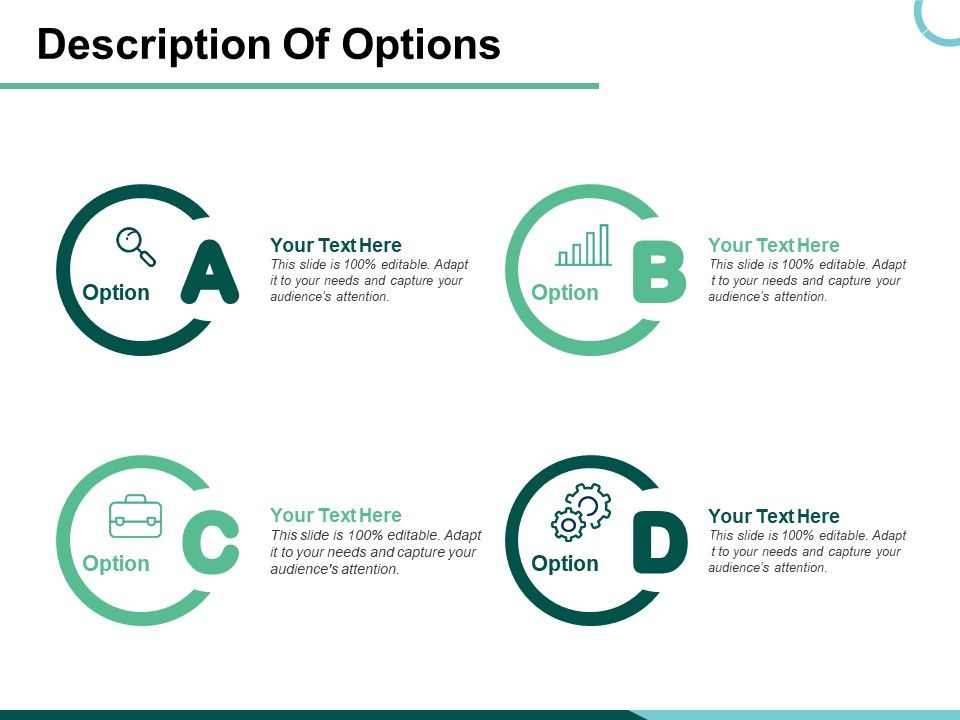 Description_Of_Options_Ppt_PowerPoint_Presentation_Icon_Information_Slide_1.jpg