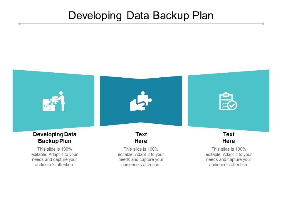 Developing Data Backup Plan Ppt PowerPoint Presentation Pictures Shapes Cpb