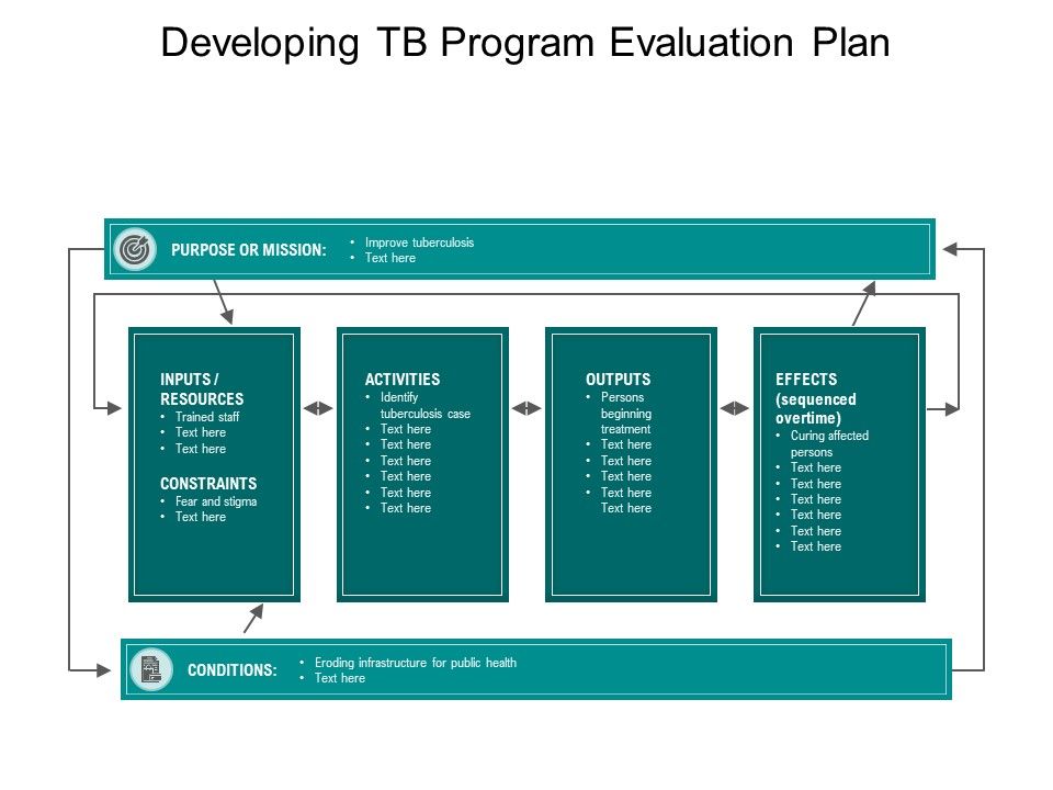 Developing_TB_Program_Evaluation_Plan_Ppt_PowerPoint_Presentation_File_Show_PDF_Slide_1.jpg