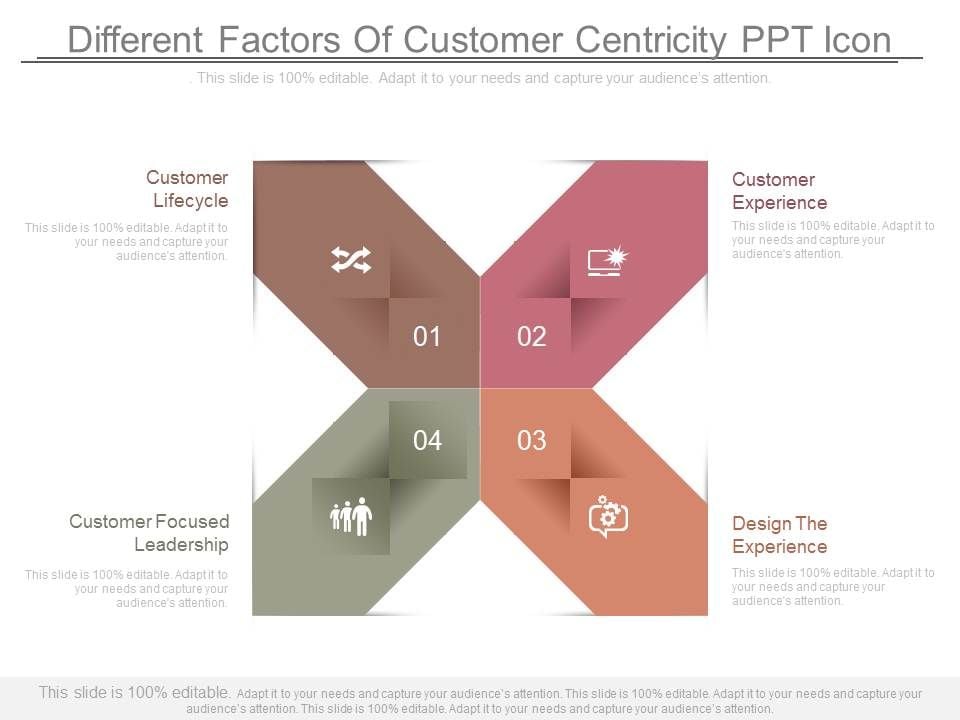 Different_Factors_Of_Customer_Centricity_Ppt_Icon_1.jpg