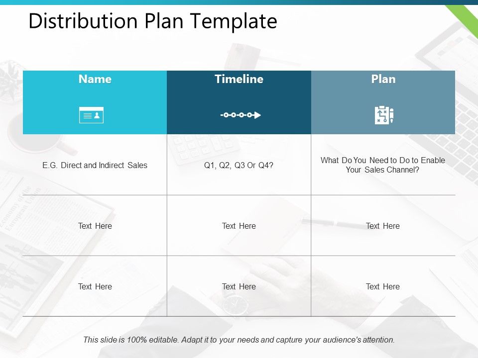 Distribution_Plan_Name_Timeline_Ppt_PowerPoint_Presentation_Icon_Guidelines_Slide_1.jpg