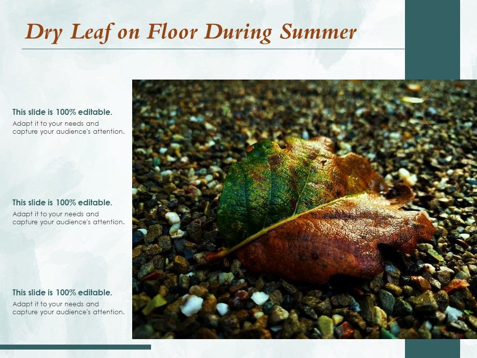 Dry_Leaf_On_Floor_During_Summer_Ppt_PowerPoint_Presentation_Icon_Example_Introduction_PDF_Slide_1.jpg