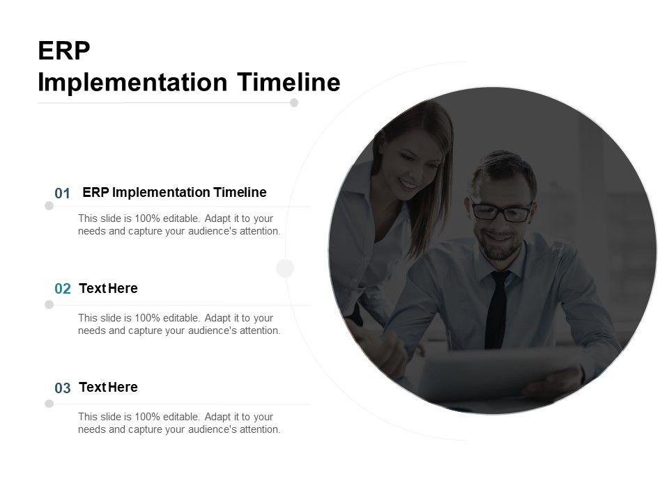 ERP Implementation Timeline Ppt PowerPoint Presentation Professional