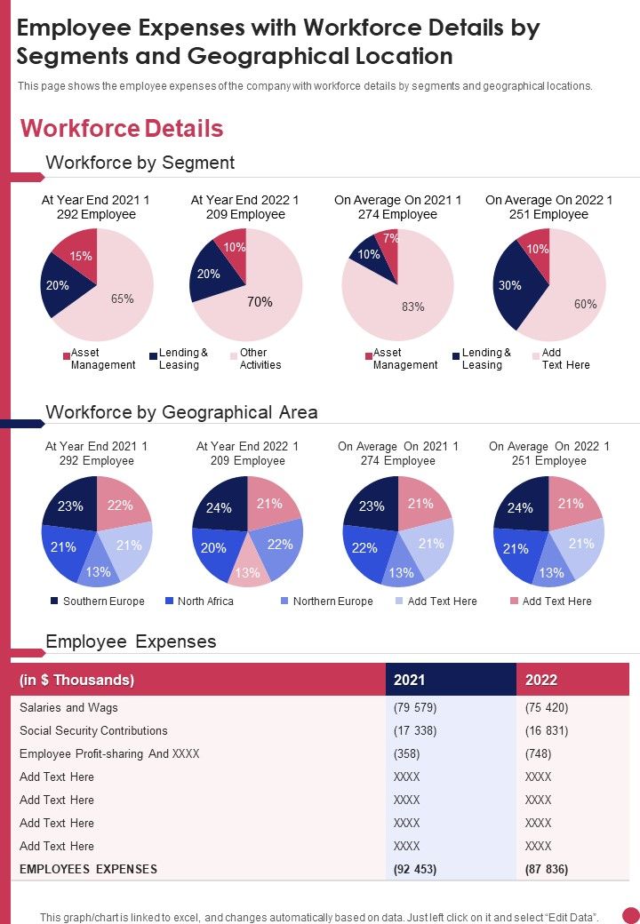 Employee Expenses With Workforce Details By Segments And Geographical ...