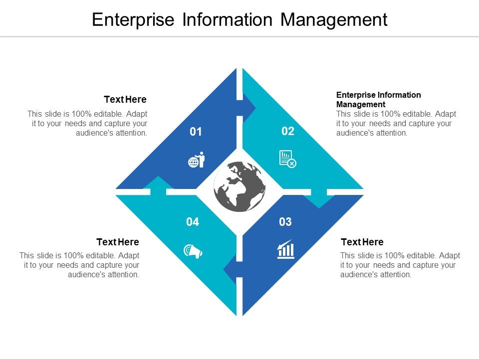 Enterprise Information Management Ppt PowerPoint Presentation Styles ...