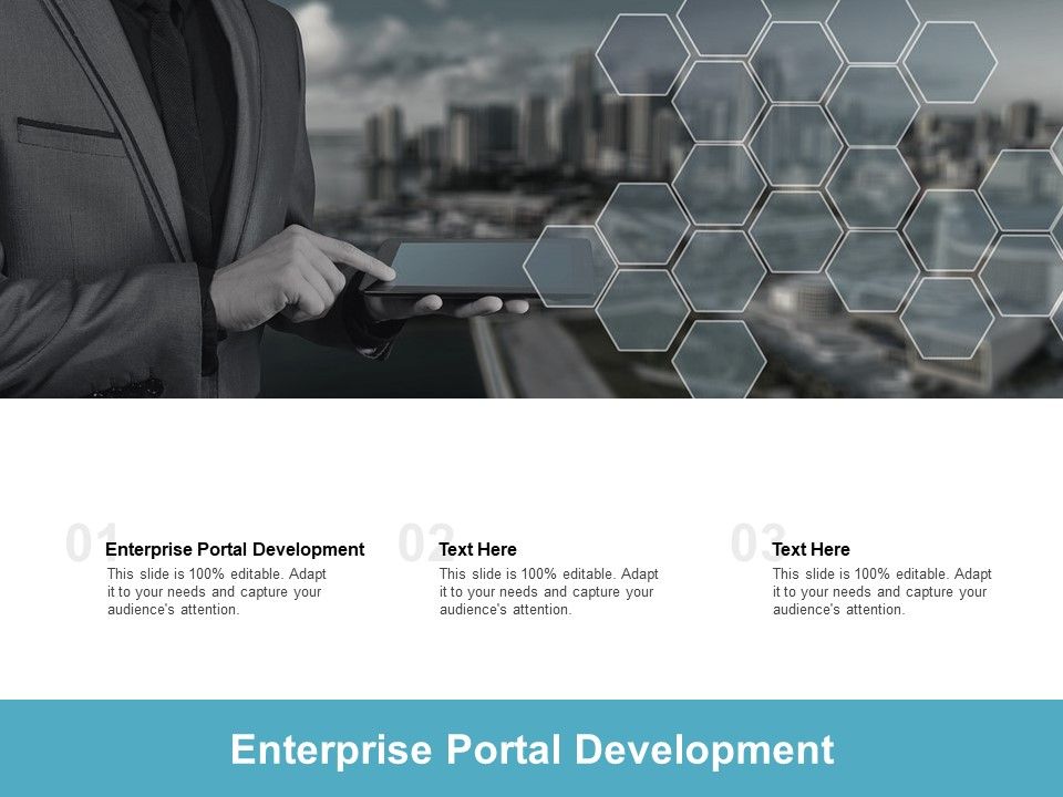 Enterprise Portal Development Ppt PowerPoint Presentation Infographic ...