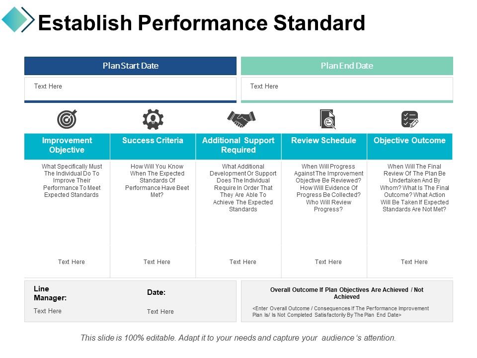 Establish Performance Standard Ppt PowerPoint Presentation Show