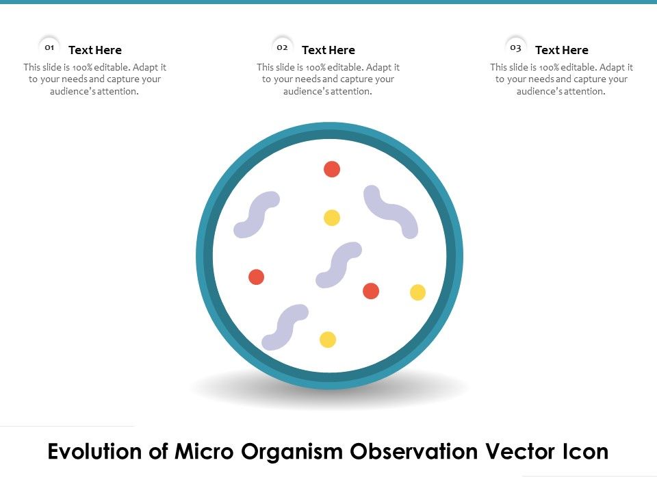 Evolution_Of_Micro_Organism_Observation_Vector_Icon_Ppt_PowerPoint_Presentation_Ideas_Visual_Aids_PDF_Slide_1.jpg