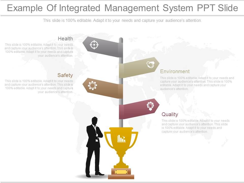 Example Of Integrated Management System Ppt Slide