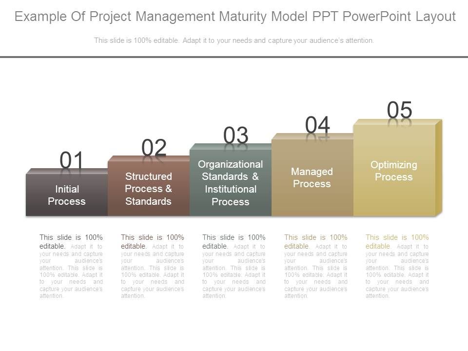 Example Of Project Management Maturity Model Ppt Powerpoint Layout