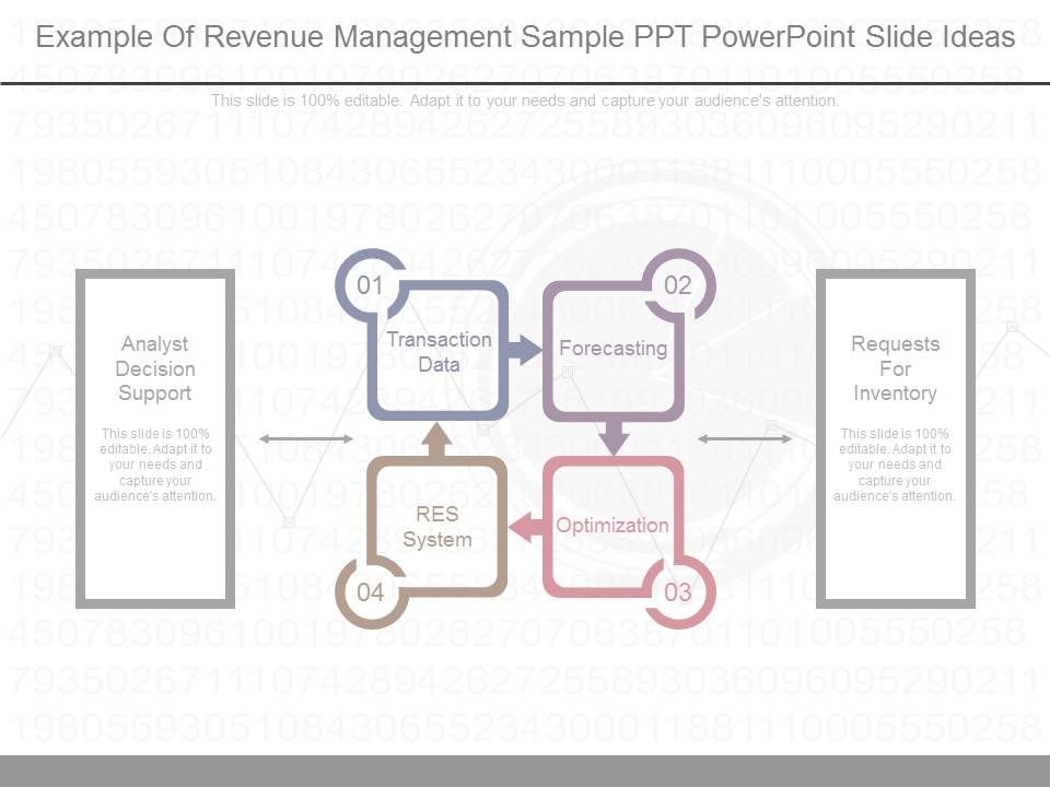 Example Of Revenue Management Sample Ppt Powerpoint Slide Ideas