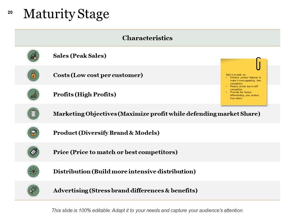 Example Presentation About New Product Ppt PowerPoint Presentation Complete Deck With Slides Slide20