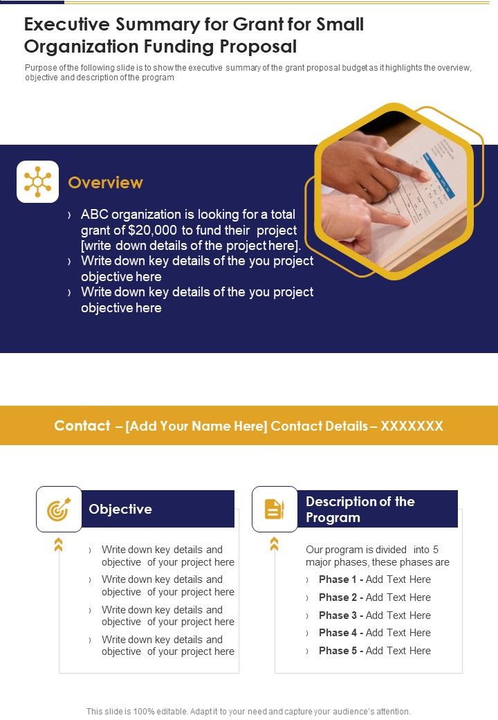 Executive Summary For Grant For Small Organization Funding Proposal One
