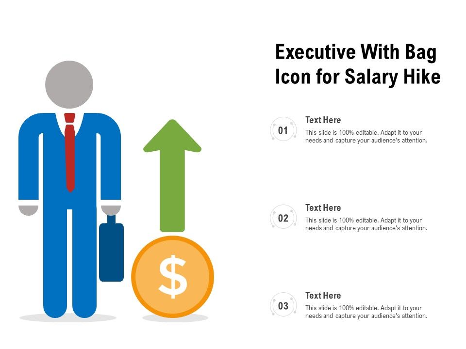 Executive_With_Bag_Icon_For_Salary_Hike_Ppt_PowerPoint_Presentation_Gallery_Outline_PDF_Slide_1.jpg