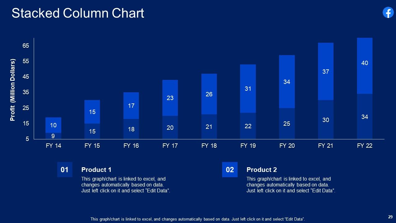 Facebook Original Capital Funding Pitch Deck Ppt PowerPoint Presentation Complete Deck With Slides Slide29