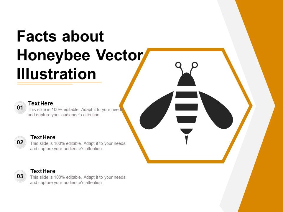 Facts_About_Honeybee_Vector_Illustration_Ppt_PowerPoint_Presentation_Gallery_Icon_PDF_Slide_1.jpg