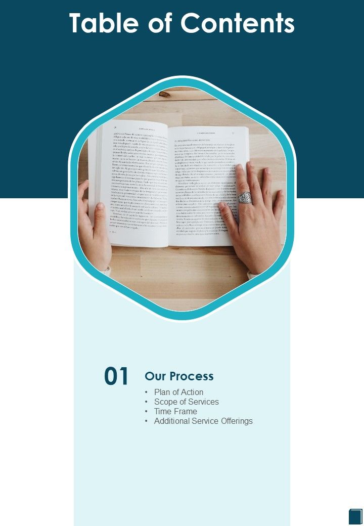 Factual Book Proposal Table Of Contents One Pager Sample Example Document