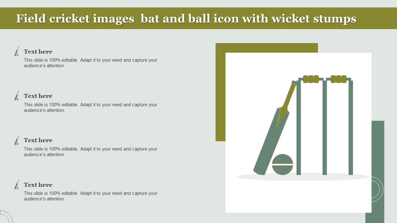 Field_Cricket_Images_Bat_And_Ball_Icon_With_Wicket_Stumps_Microsoft_PDF_Slide_1.jpg