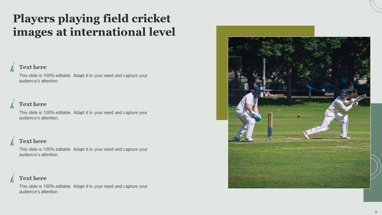 Field Cricket Images Ppt PowerPoint Presentation Complete With Slides Slide09