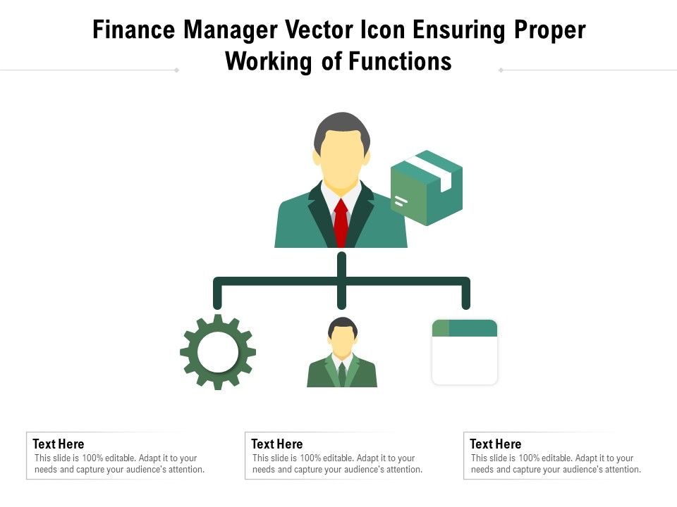 Finance_Manager_Vector_Icon_Ensuring_Proper_Working_Of_Functions_Ppt_PowerPoint_Presentation_Inspiration_Ideas_PDF_Slide_1.jpg